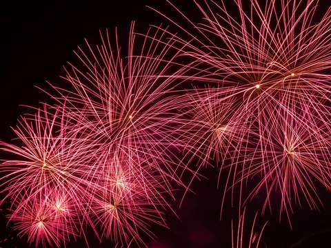 夜空を染める花火の群れ