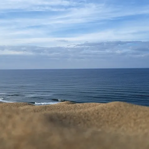 水平線に広がる空と海