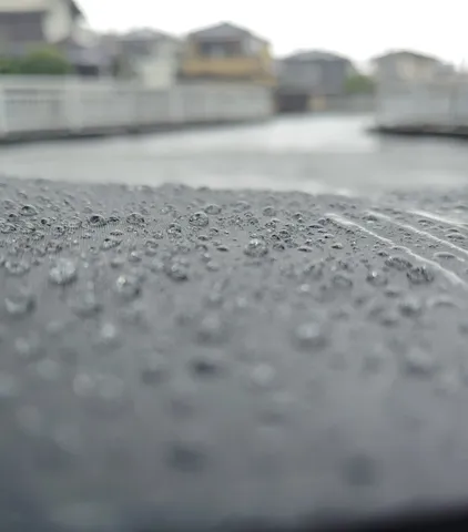 雨粒が語る、静かな日常