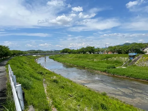 夏日、清流と緑のコントラスト
