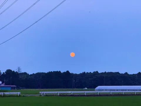 夕暮れ空に浮かぶオレンジ色の月