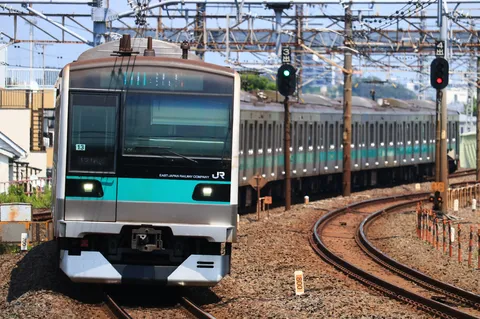 刹那を切り取る、旅立ちの緑