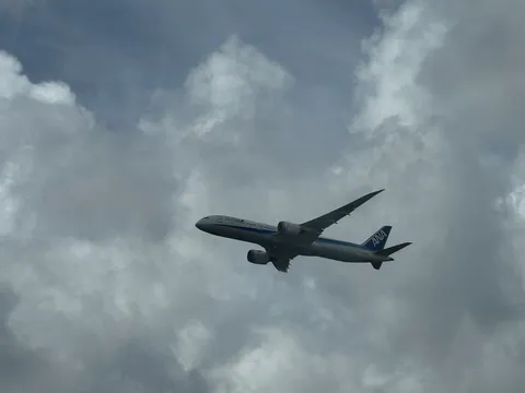 青空へ力強く羽ばたくANA機