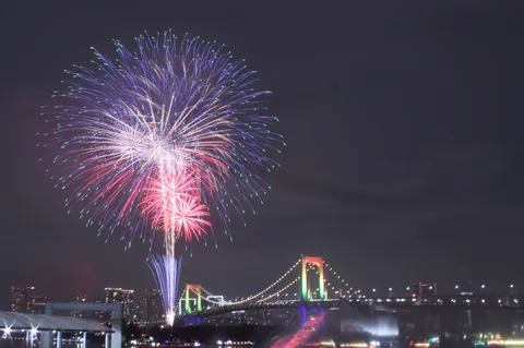 夜空を彩る大輪の花火