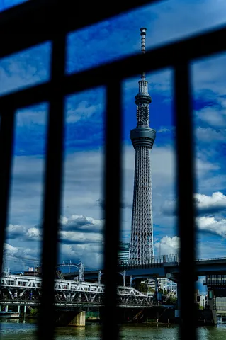 空を貫く鉄塔の影