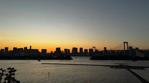 黄昏の都会と橋の影