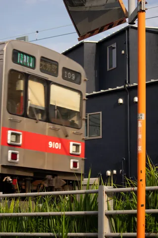 路面電車、日常の風景