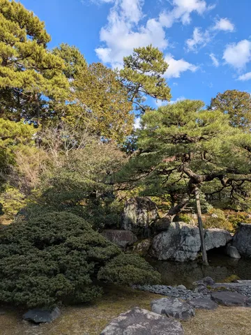 静寂の庭園、悠久の緑