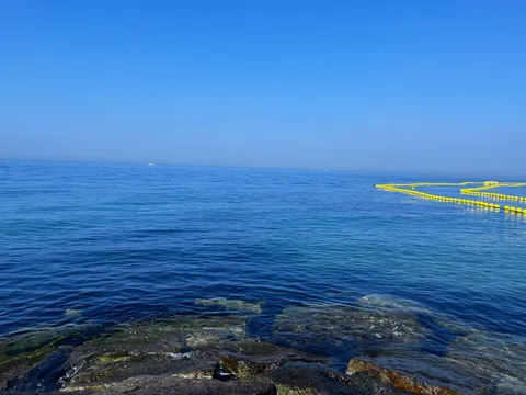 広がる青に浮かぶ黄色の道標