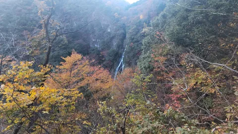 秋色に染まる山間の滝
