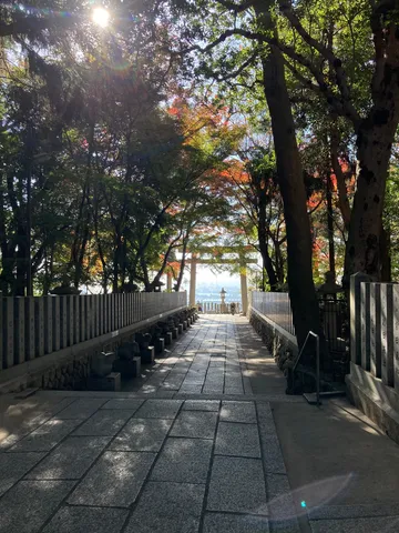 光と影が織りなす、古都の参道