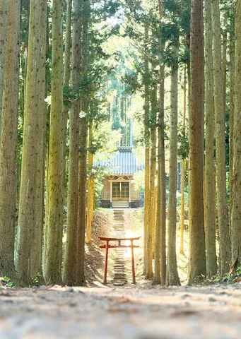 森の奥、光差す小道の先