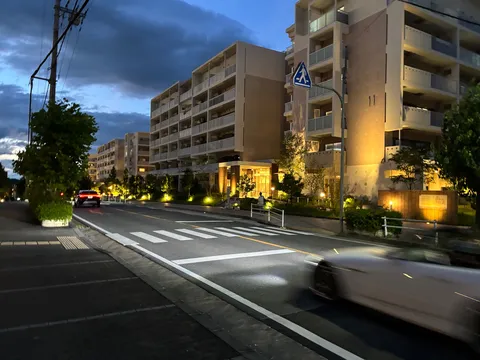 夕暮れ、街路樹とマンションの光