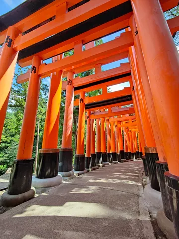 鳥居の無限回廊
