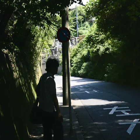 木陰に揺れる静かな路地