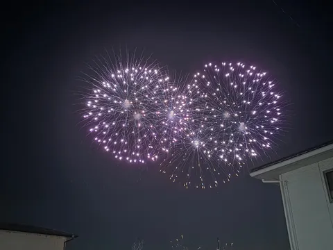 夜空に咲く、紫色の花火