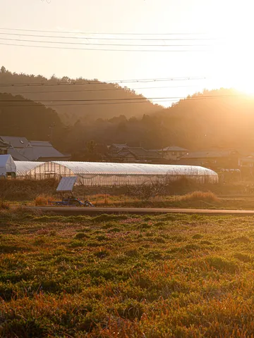夕暮れに佇む温室、農村の情景