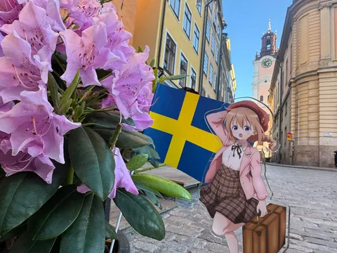 北欧の街角と異色の旅路