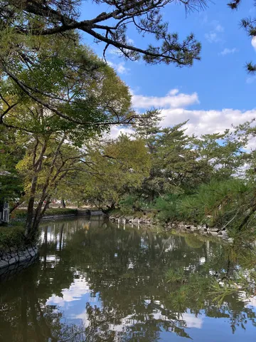 静寂の水面、映る木々の緑