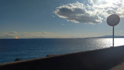 大海原の小さな冒険者