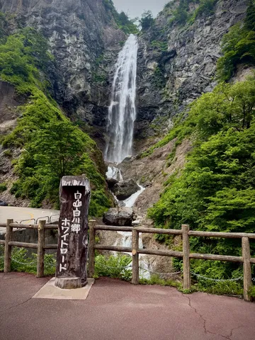 緑に包まれた白糸の滝