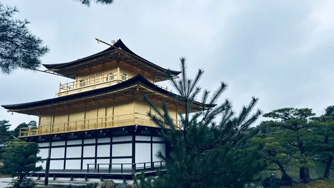 黄金に輝く、静寂の庭園