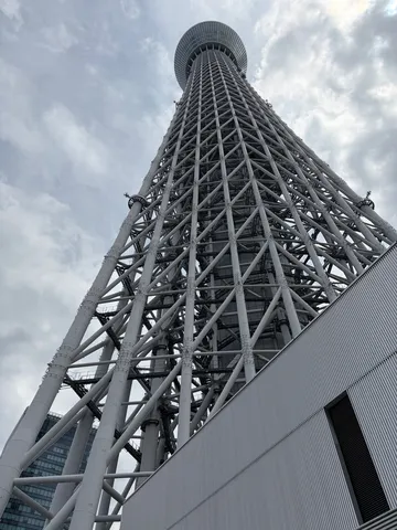 空へ伸びる鉄骨の森