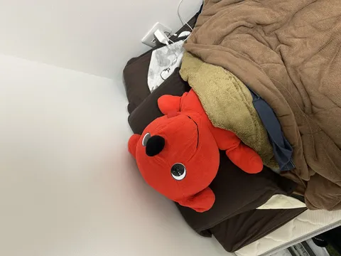 毛布にくるまる赤い相棒のリラックスタイム