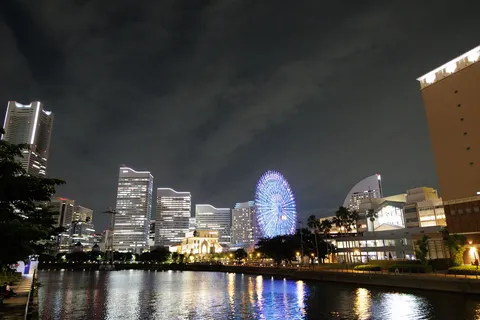 夜景に映える観覧車の光