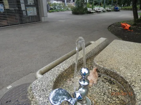 水流と石畳の静かな日常