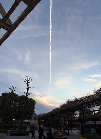 空を裂く一条の雲
