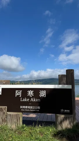 青と木の静かな湖畔