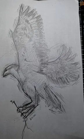 羽ばたく瞬間の、荒々しい躍動感