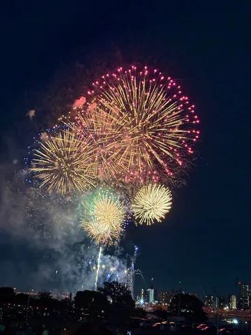 煌めく大輪、夜空の祭典