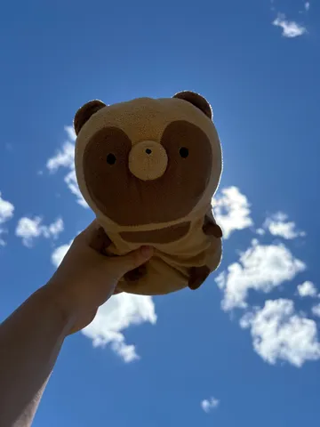 青空とぬいぐるみ、夏の空に旅立ち