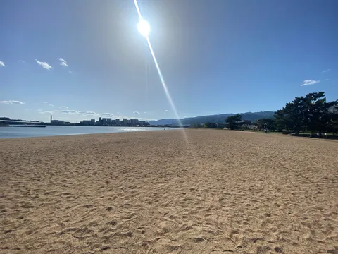 夏の陽光と静かな浜辺