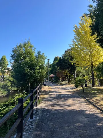 秋の公園の光と影