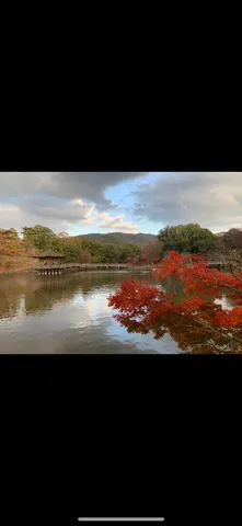 紅葉の池に映る、趣ある風景