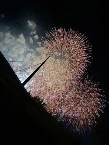 夜空を彩る光の芸術