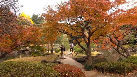 鮮やかな秋、庭園の小道