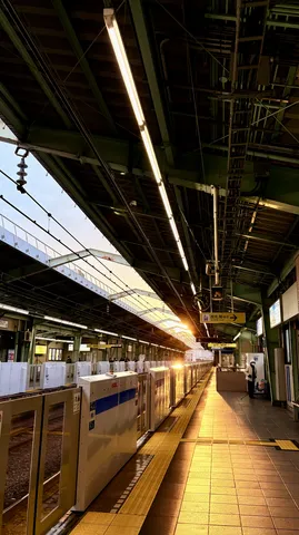 志村三丁目駅((夕焼け)