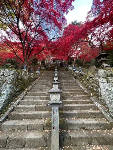 紅葉導く石段の参道