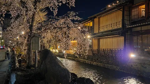 夜桜流れる古都の小径