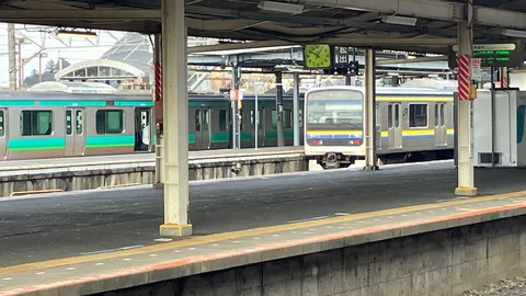 ホームで出会う、二つの電車