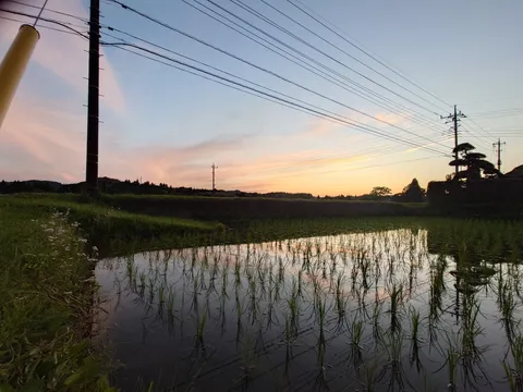 水鏡に映るマジックアワー