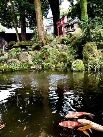 鯉も鎮守の杜も、静寂の時を刻む