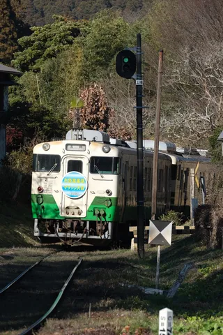 緑と信号、そして懐かしの列車