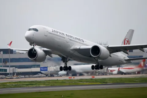 大空へ舞い上がる白い巨体