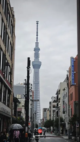 街路に伸びる影と光の塔
