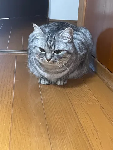 んー、なんか文句ある？